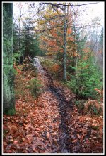 IMG_8119.JPG