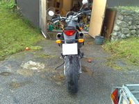 20081110051.jpg