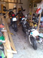 20081110055.jpg