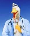 dr.JPG