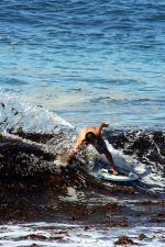 IMG_20081116_0161-edit-300x450.jpg