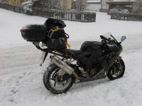 IMG_4630.jpg