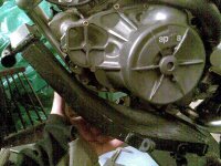 rsz_120081203(001).jpg