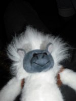 DSCF0016 (Medium).JPG