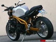 triumph2sx6.jpg