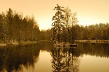 DSC_0262_1.jpg