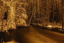 DSC_0265_1.jpg