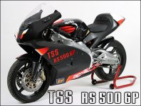 TSS_RS500GPmed2.jpg