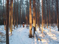 SDC10111+sh.JPG