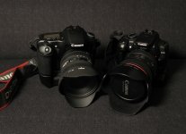 canon 006.jpg