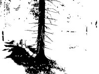 väggmålningsförslag (5).jpg