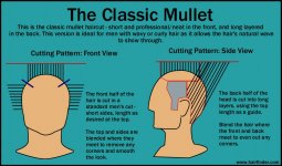 mullet1.jpg