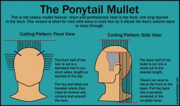 mullet2.jpg