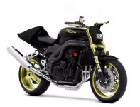 omstylad triumph2.jpg