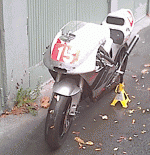 framifran.gif