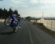 wheelie.jpg