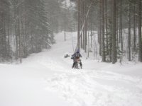 Bild 22729.jpg