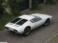mangusta.JPG