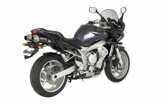 devilfz6.jpg