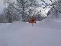 DSC01654.JPG