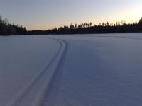 20090214853 (Large).jpg