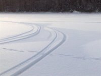 20090214860 (Large).jpg