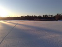 20090214868 (Large).jpg