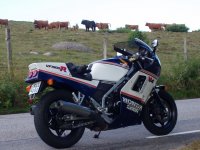 030829 Skenetur 10 sh.jpg