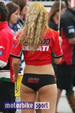 bsb20080002op4.jpg
