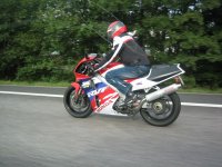 IMG_0194 800.jpg