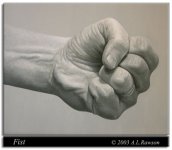 FIST-websmall.jpg