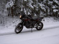 snoret.jpg
