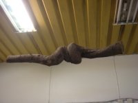 DSC00120 - Copy.JPG