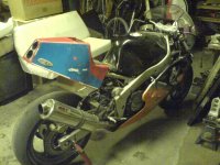 DSC00507x.JPG