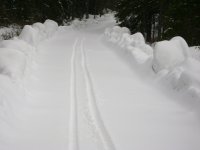 Bild 22814.jpg