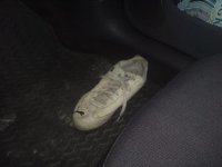 puma 2.jpg