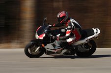 IMG_3365.jpg