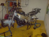 DSC00338 1.jpg