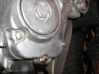 H_motor_bult1.JPG