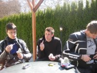 IMG_1363 (Large).JPG