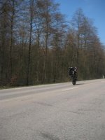 IMG_1386 (Large).JPG