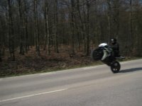 IMG_1390 (Large).JPG