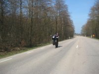 IMG_1393 (Large).JPG