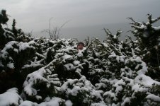 resize of IMG_4266.JPG