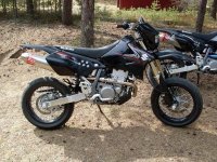 SDC10373+sh jockes.JPG