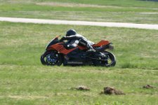 IMG_3246.jpg