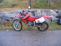 IMG_0217_.jpg