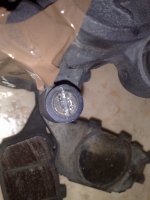 20090510018.jpg