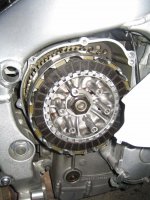 IMG_0037.jpg
