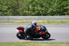 DSC00558 (Large).JPG